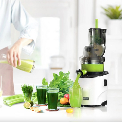 JuicyPower – Des Mélanges Frais et Nutritifs en Quelques Secondes!
