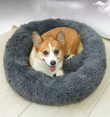Lit pour chien PlushCloud