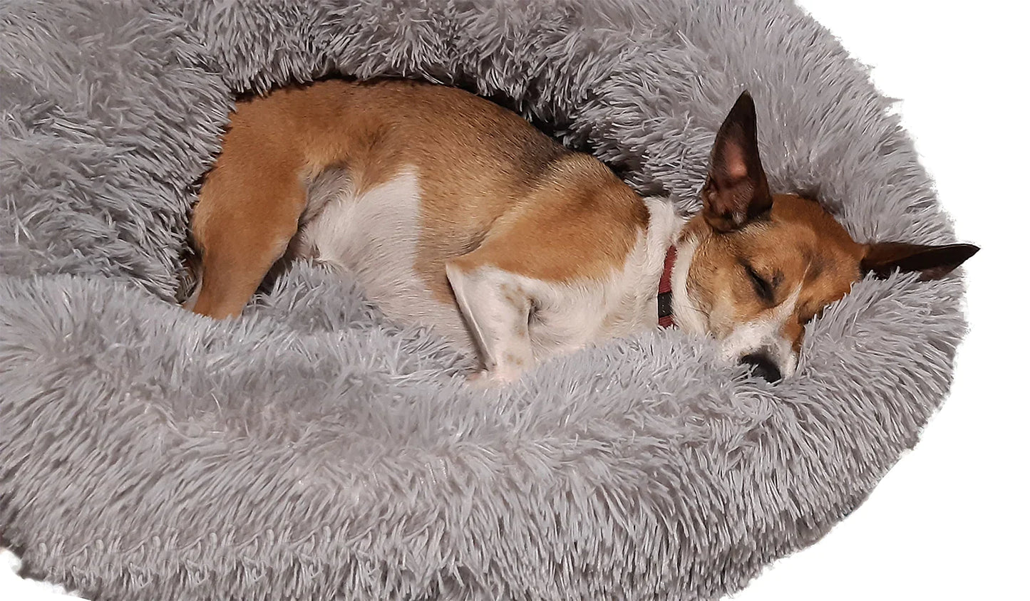 Lit pour chien PlushCloud